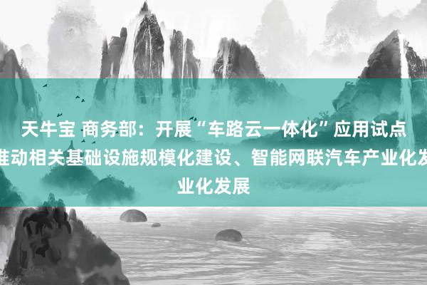 天牛宝 商务部：开展“车路云一体化”应用试点，推动相关基础设施规模化建设、智能网联汽车产业化发展