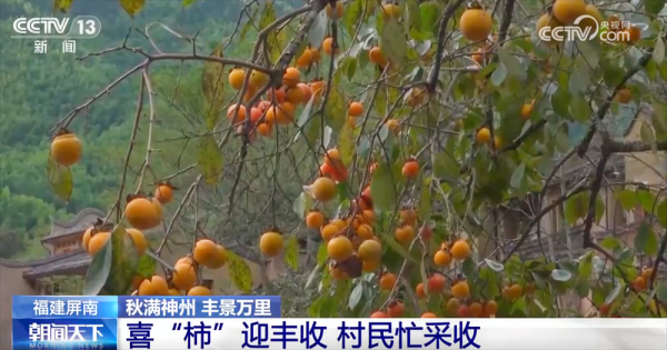 指南针股票 传统与现代融合“交响” 古村落呈现“人来、村活、业兴、文盛”繁荣景象